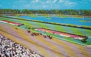 Horse Racing A Thrilling Race Hialeah Race Course Hialeah Florida