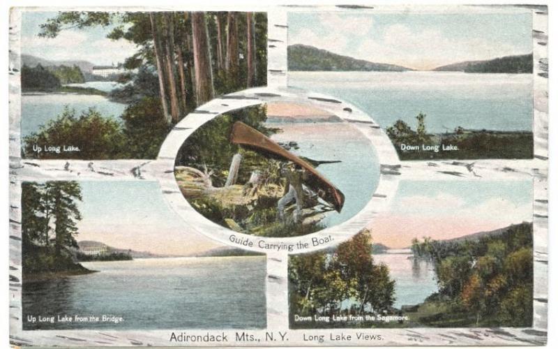 Adirondack Mountains NY Multi-View Birch Bark Postcard