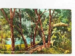 Vintage Postcard 1912 Rustic Bridge Bush Gardens Pasadena CA California