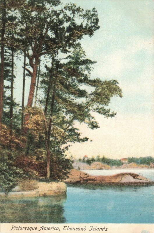 Circa 1901-07 Picturesque America, Thousand Islands, N.Y. Postcard