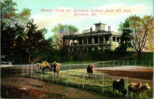 Postcard 1910s Baltimore MD Mansion House Zoological Gardens Druid Hill Park N17