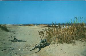 US    PC1341  NORTH CAROLINA'S OUTER BANKS