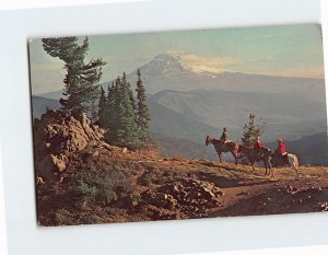 Postcard Mount Adams, Southern Washington