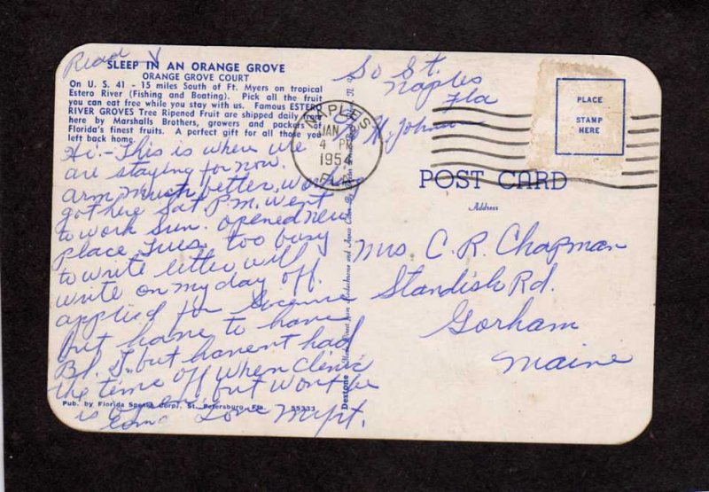 FL Orange Grove Court Cabins Motel Estero nr Fort Ft Myers Florida Postcard