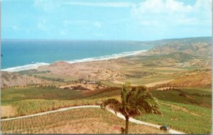 Postcard Barbados - View from Cherry Tree Hill, St. Peter