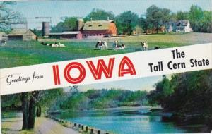 Iowa Greetings From Where The Tall Corn Grows 1962