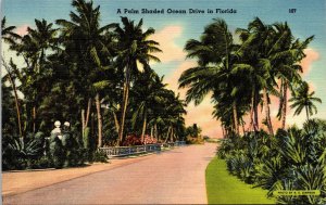 Palm Shaded Ocean Dr Florida FL Linen Postcard UNP VTG Tichnor Unused Vintage 