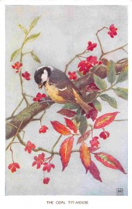 The Coal Tit Mouse British Bird Winifred Austin Series postcard