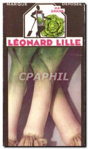 Image Flowers Leonard Lille Leek