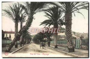 Old Postcard View Of City Landscape Car Donkey