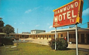 Hammond Louisiana Hammond Motel Vintage Postcard AA32036