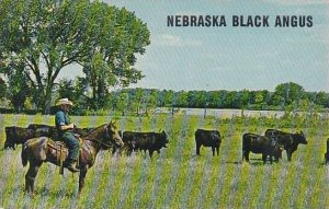 Nebraska Black Angus