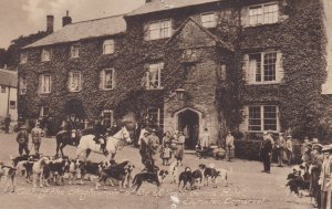 England Somerset Dunster Meet Of The Staghounds Hunting Dogs At The Lutirell ...