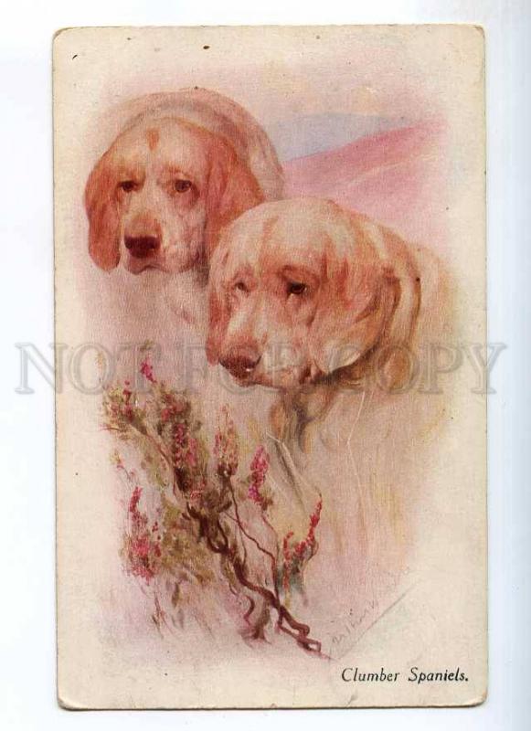 234728 CLUMBER SPANIEL Dogs HUNT Vintage NOVITAS #42316 PC