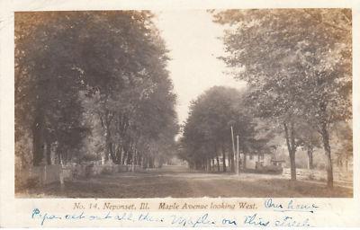 F4806 IL, Neponset Maple Avenue Photo Postcard