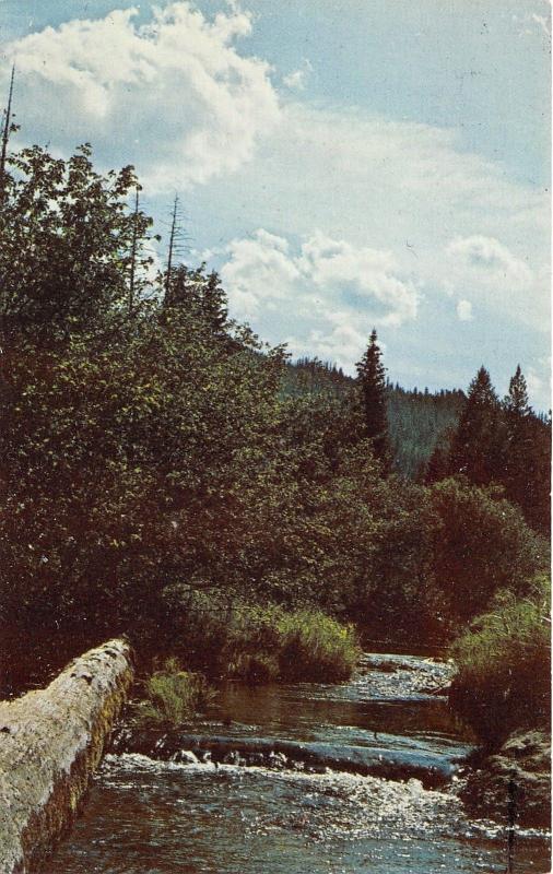 St Maries Idaho~Carpenter Creek in Wilderness~Timberline Advertisement Bk~1950s