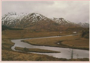 Scotland Postcard - Deep In The Heart of Glen Affric, Near Cannich   RR8444