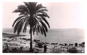 Sea of Galilee Capharnaum Jordan Unused 