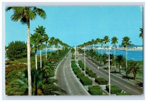 c1920s Clearwater Beach, Flordia Postcard F118E