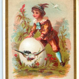 c1890s Strange Boy Pushing Giant Egg w/ Dead Bird Litho Trade Card Artistic C34