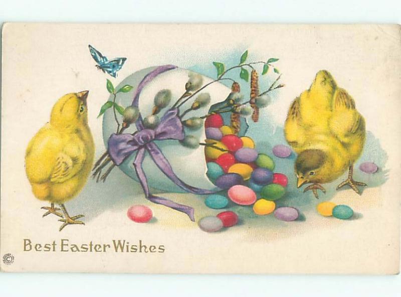 Divided-Back EASTER CHICK SCENE Cute Postcard AA0743