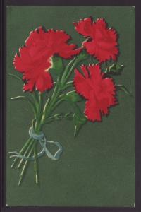 Carnations Postcard