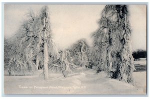 Niagara Falls New York NY Postcard Trees Prospect Point Snow 1907 Antique Posted