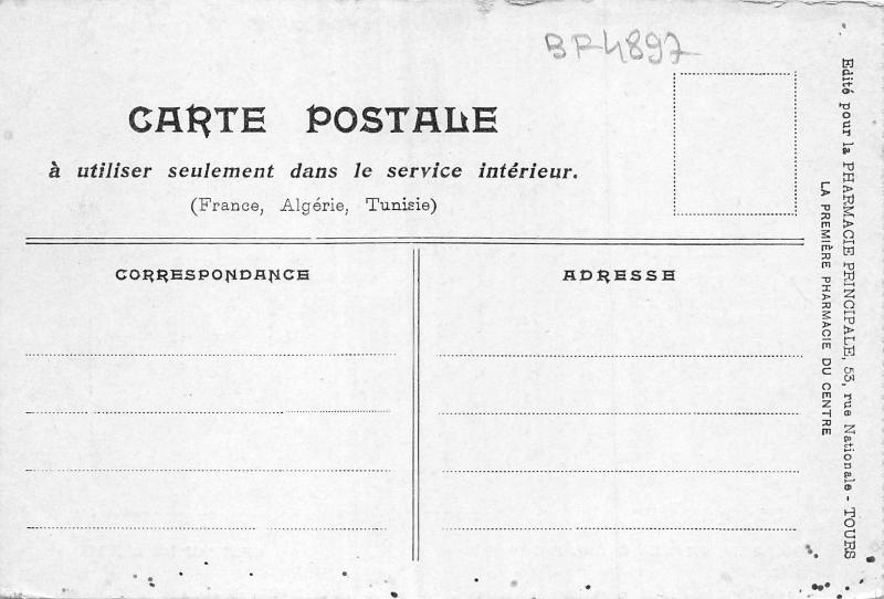 BF4897 chateau de langeais france