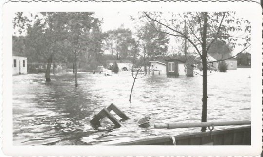 Flooded homes picture taken from boat Real Photograph Vintage Photograph