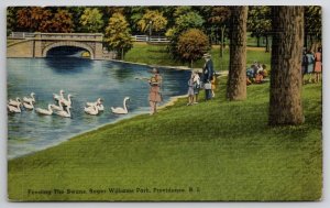 Providence RI Feeding The Swans Roger Williams Park Postcard N21