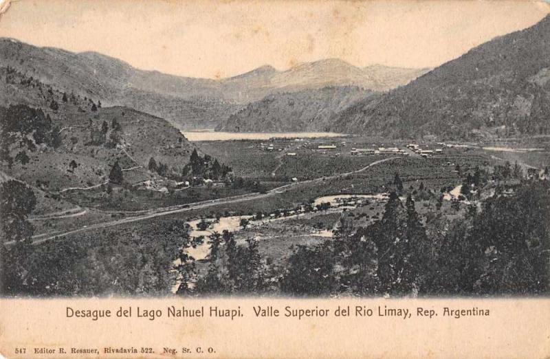 Limay Argentina Valle Superior de Rio Lago Nahuel Huapi Antique Postcard J66505