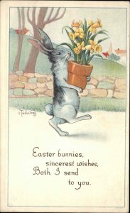 Twelvetrees Easter Fantasy Bunny with Daffodils Flowers Vintage Postcard