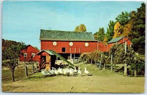 Postcard - This is a barnyard scene in the Dutch Country - Pennsylvania