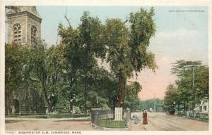 Cambridge MA Detroit Publishing #70687 Church by Washington Elm~1907 Postcard