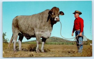 CRATERVILLE PARK, OK Oklahoma ~ JIMBO Giant 3200 Lb. STEER c1950s Postcard