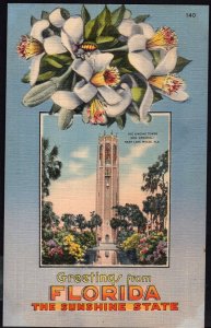 Greetings from FLORIDA with Lilies and The Singing Tower LAKE WALES LINEN