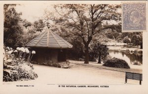 Postcard RPPC In Botanical Gardens Melbourne Victoria Australia