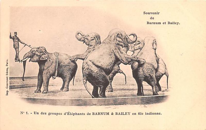 Barnum et Bailey Elephants Circus Unused tab marks from being in album