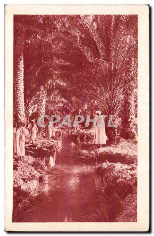 Old Postcard The Algeria Tolga Stream in the palms