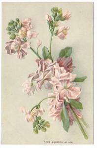 Flower Flowers Aquarell Serie 1910c embossed postcard