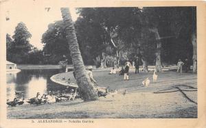 br104359 nouzha garden alexandrie africa real photo egypt