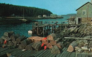 Vintage Postcard 1956 Typical Maine Fishing Village Lobster Traps Bouys Fishing