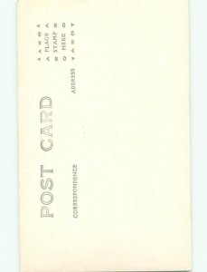 Old rppc NATURE SCENE Great Postcard AB0839