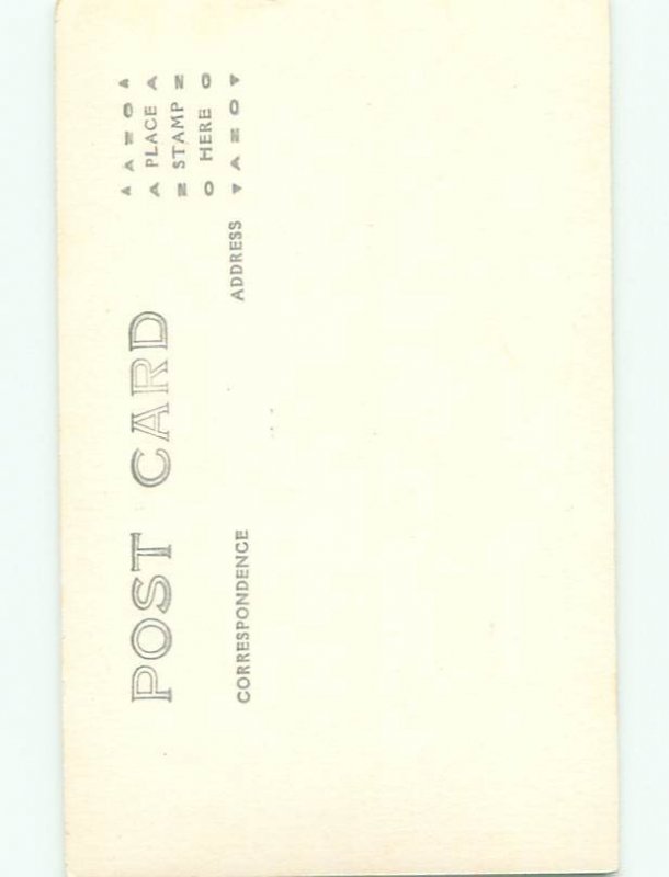 Old rppc NATURE SCENE Great Postcard AB0839