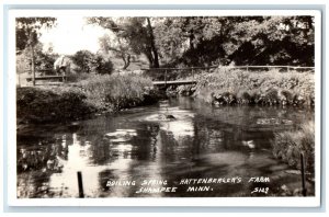 Boiling Spring Hattenberger's Farm Shakopee Minnesota MN RPPC Photo Postcard