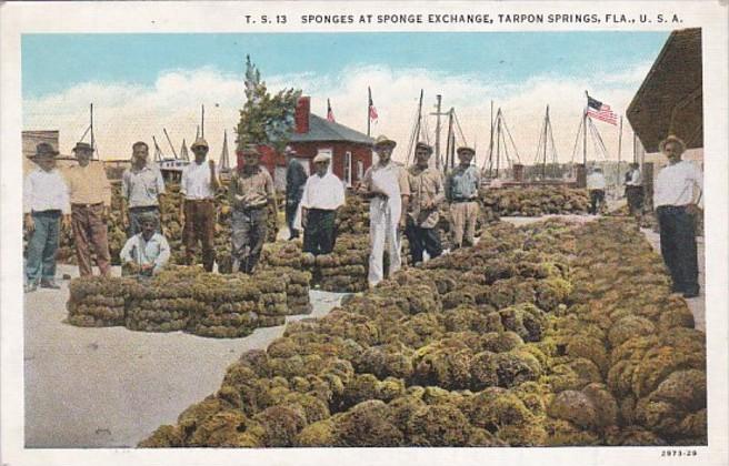 Florida Tarpon Springs Sponges At The Sponge Exchange Curteich