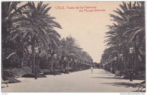 Cadiz , Spain , 00-10s ; Paseo de las Palmeras del Parque Genoves