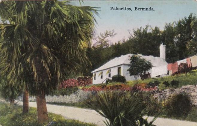 Bermuda Palmettos Residence Scene