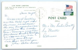 Live MAINE Lobsters Postcard
