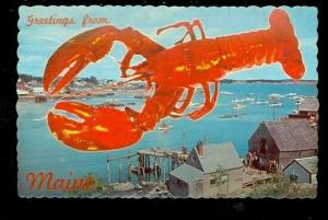 ME, Augusta, Maine, Lobster, Greeting, Eastern Illustrating